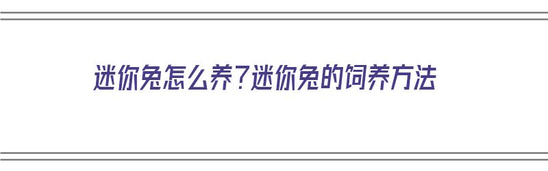 迷你兔怎么养？迷你兔的饲养方法（迷你兔怎么养?迷你兔的饲养方法视频）