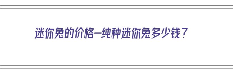 迷你兔的价格-纯种迷你兔多少钱？（纯种迷你兔多少钱一只）