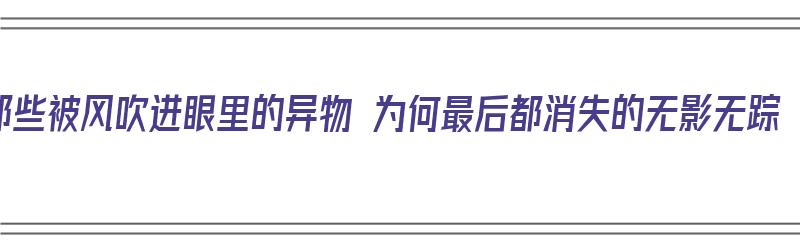 那些被风吹进眼里的异物 为何最后都消失的无影无踪（被风吹进眼的异物去哪儿了）