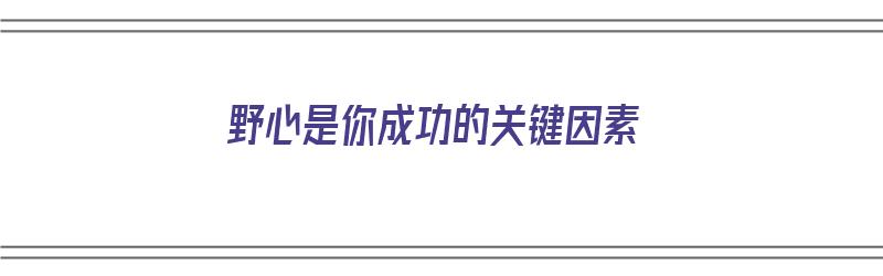 野心是你成功的关键因素（野心是你成功的关键因素吗）