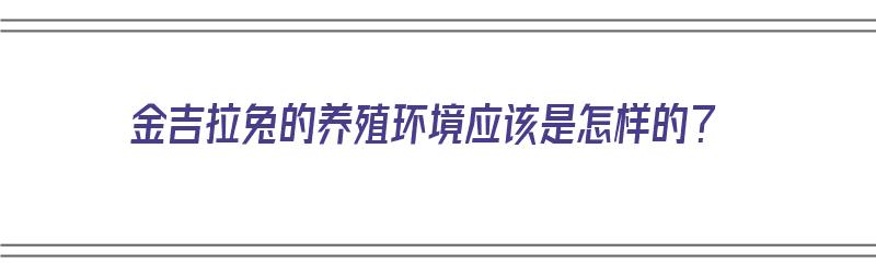 金吉拉兔的养殖环境应该是怎样的？（金吉拉兔的养殖环境应该是怎样的）