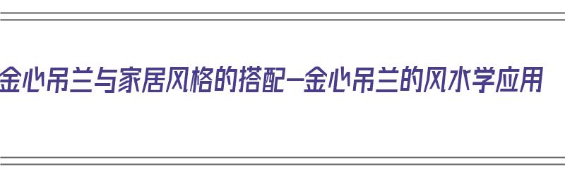 金心吊兰与家居风格的搭配-金心吊兰的风水学应用（金心吊兰的风水作用）