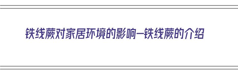 铁线蕨对家居环境的影响-铁线蕨的介绍（铁线蕨有毒吗?铁线蕨能放在室内养吗?）