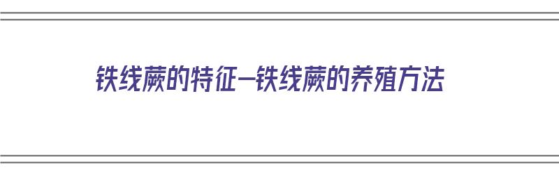 铁线蕨的特征-铁线蕨的养殖方法（铁线蕨的养殖方法和注意事项有哪些）