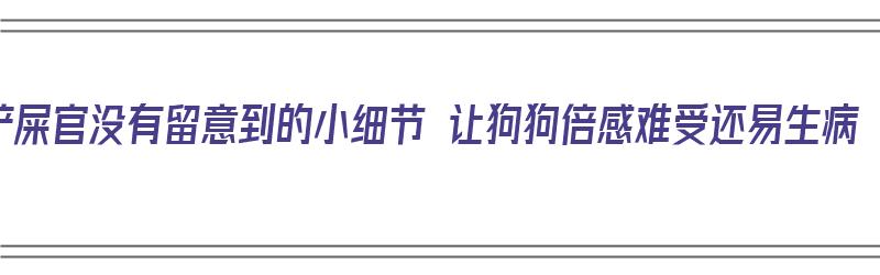 铲屎官没有留意到的小细节 让狗狗倍感难受还易生病（如何让狗狗非常生病了）