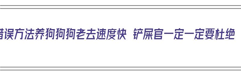 错误方法养狗狗狗老去速度快 铲屎官一定一定要杜绝（狗狗老去怎么办）