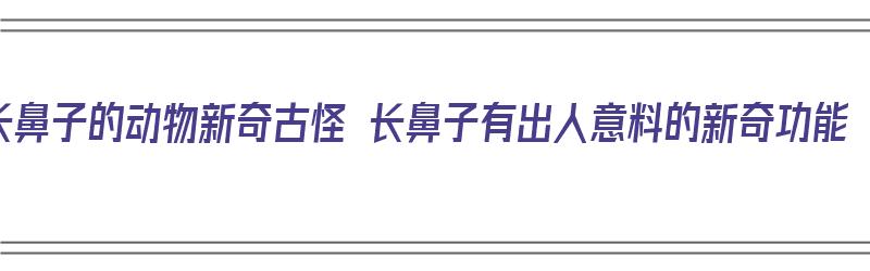 长鼻子的动物新奇古怪 长鼻子有出人意料的新奇功能（长鼻子的动物是什么）