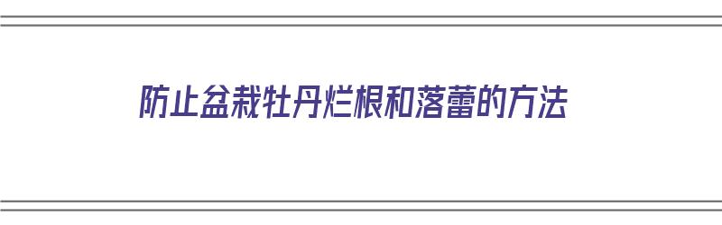 防止盆栽牡丹烂根和落蕾的方法（防止盆栽牡丹烂根和落蕾的方法有哪些）