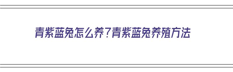 青紫蓝兔怎么养？青紫蓝兔养殖方法（青紫蓝兔好养吗）