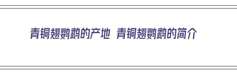 青铜翅鹦鹉的产地 青铜翅鹦鹉的简介（青铜翅膀）