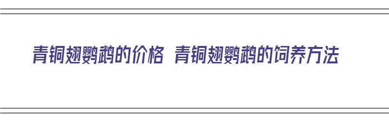 青铜翅鹦鹉的价格 青铜翅鹦鹉的饲养方法