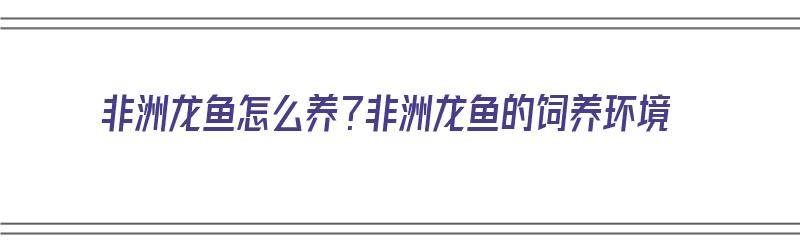 非洲龙鱼怎么养？非洲龙鱼的饲养环境（非洲龙鱼图片）