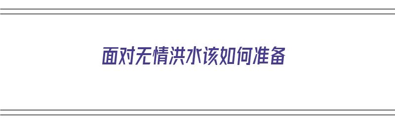 面对无情洪水该如何准备（面对无情洪水该如何准备工作）