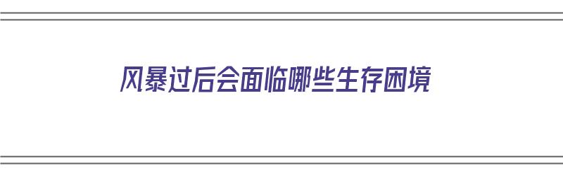 风暴过后会面临哪些生存困境（风暴过后会面临哪些生存困境呢）