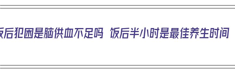 饭后犯困是脑供血不足吗 饭后半小时是最佳养生时间（饭后犯困是因为大脑供血减少）