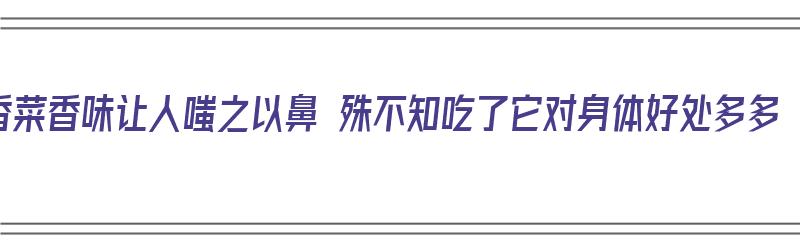 香菜香味让人嗤之以鼻 殊不知吃了它对身体好处多多（香菜吃了对身体有营养吗?）