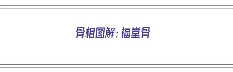 骨相图解：福堂骨（福堂骨在面相哪个部位）