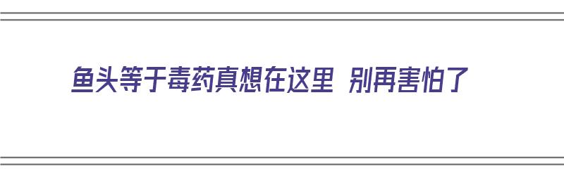 鱼头等于毒药真想在这里 别再害怕了（鱼头有毒吗是什么毒）