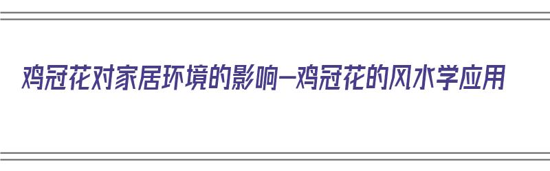 鸡冠花对家居环境的影响-鸡冠花的风水学应用（鸡冠花种家里风水怎么样）