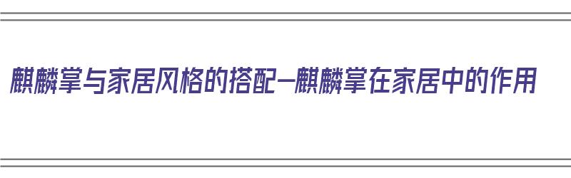 麒麟掌与家居风格的搭配-麒麟掌在家居中的作用（麒麟掌摆放在家中什么位置最好）