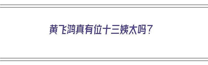 黄飞鸿真有位十三姨太吗？（黄飞鸿真有位十三姨太吗图片）