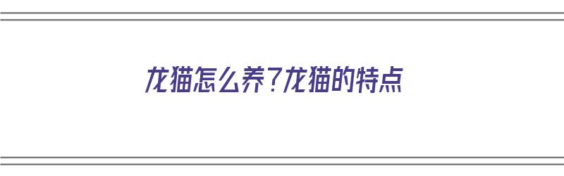 龙猫怎么养？龙猫的特点（龙猫怎么养?龙猫的特点是什么）