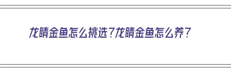 龙睛金鱼怎么挑选？龙睛金鱼怎么养？（如何挑选龙睛金鱼）