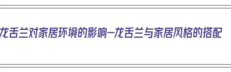 龙舌兰对家居环境的影响-龙舌兰与家居风格的搭配（龙舌兰对家里风水）