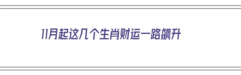 11月起这几个生肖财运一路飙升（11月份什么生肖运势最好）