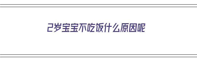 2岁宝宝不吃饭什么原因呢（2岁宝宝不吃饭什么原因呢怎么办）